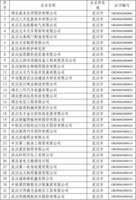 湖北省高新技术企业概览与区域发展启示